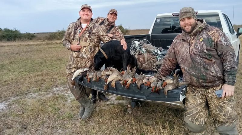 Duck Season Central Texas